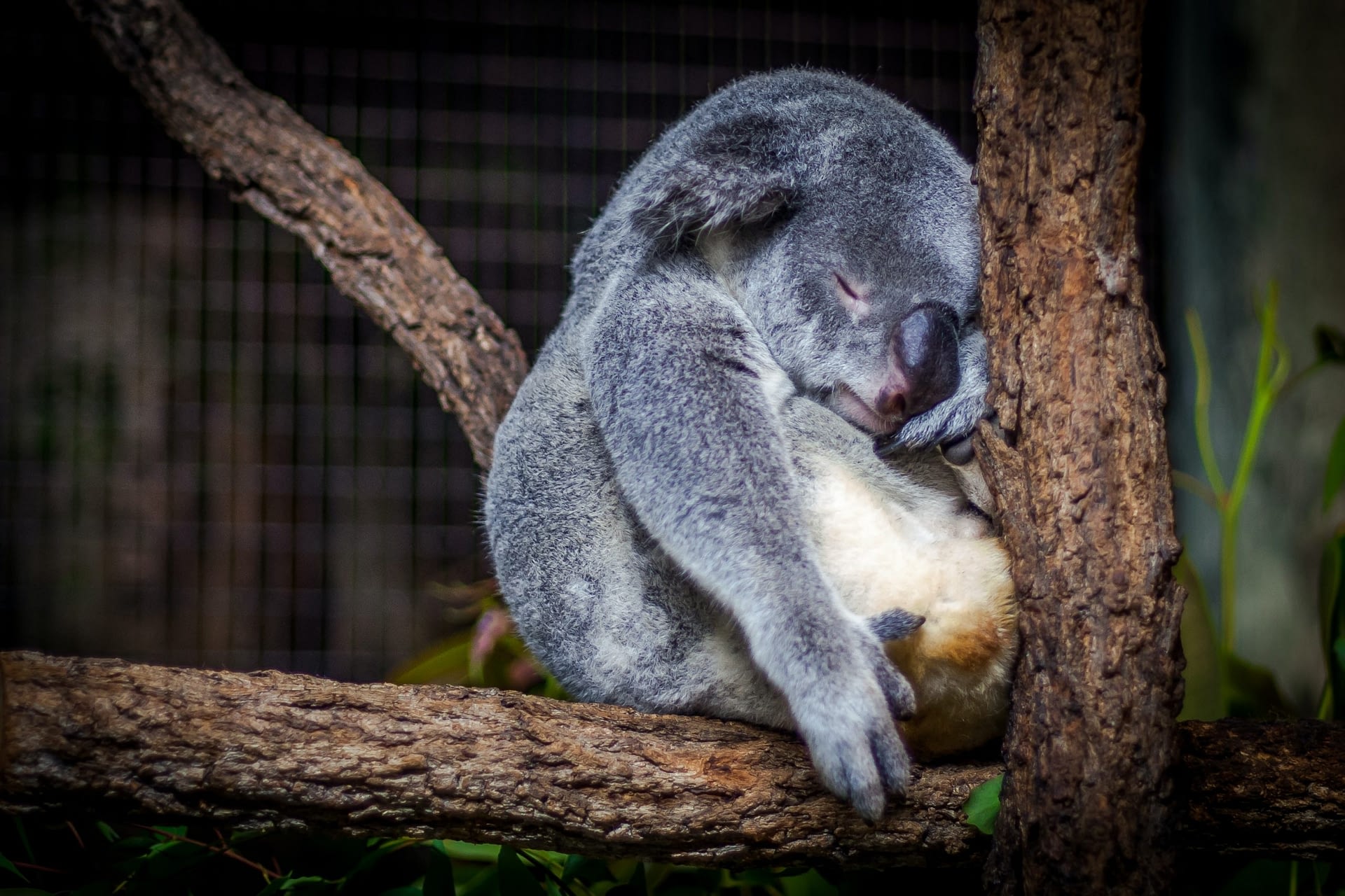 Cris Saur on Unsplash Cris Saur on Unsplash